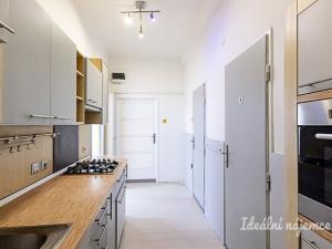 Pronájem bytu 2+kk, Praha - Žižkov, Žerotínova, 56 m2