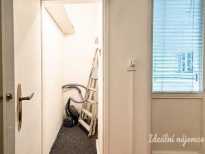 Pronájem bytu 2+kk, Praha - Žižkov, Žerotínova, 56 m2