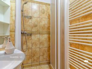 Pronájem bytu 2+kk, Plzeň, Lipová, 60 m2