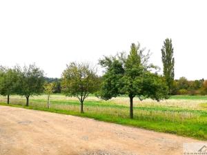 Prodej pozemku pro bydlení, Kolešovice, 985 m2