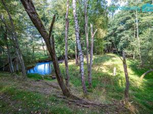 Prodej komerčního pozemku, Cheb, 86573 m2