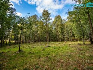 Prodej komerčního pozemku, Cheb, 86573 m2