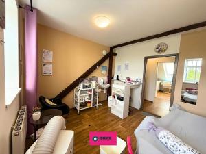 Pronájem obchodního prostoru, Velká Bíteš, Karlov, 270 m2