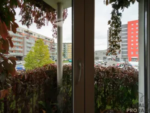 Prodej bytu 3+kk, Olomouc, Schweitzerova, 74 m2