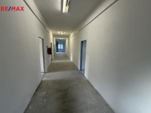 Prodej obchodního prostoru, Pelhřimov, Hodějovická, 206 m2