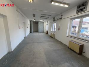 Prodej obchodního prostoru, Pelhřimov, Hodějovická, 206 m2