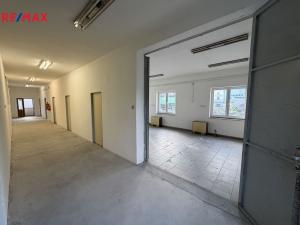 Prodej obchodního prostoru, Pelhřimov, Hodějovická, 206 m2
