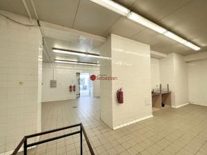 Pronájem skladu, Jičín - Valdické Předměstí, Dělnická, 178 m2