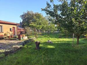 Prodej rodinného domu, Brandýs nad Labem-Stará Boleslav, Petra Bezruče, 96 m2