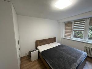 Prodej bytu 1+kk, Ostrava, Krakovská, 20 m2