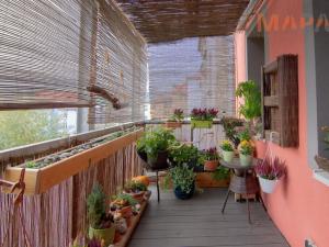 Prodej bytu 3+1, Chomutov, Smetanova, 77 m2