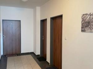 Prodej bytu 2+kk, Ostrava - Přívoz, Špálova, 73 m2