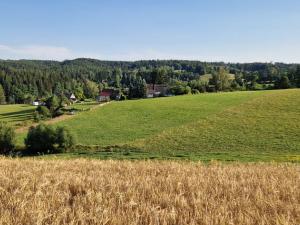 Prodej rodinného domu, Horní Olešnice - Ždírnice, 104 m2