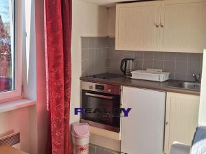 Pronájem bytu 1+kk, Podbořany, 21 m2