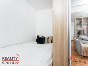 Pronájem bytu 1+kk, Mladá Boleslav - Mladá Boleslav III, Jičínská, 38 m2