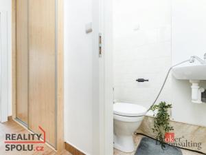 Pronájem bytu 1+kk, Mladá Boleslav - Mladá Boleslav III, Jičínská, 38 m2