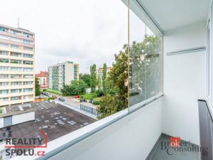 Pronájem bytu 1+kk, Mladá Boleslav - Mladá Boleslav III, Jičínská, 38 m2