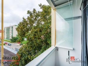 Pronájem bytu 1+kk, Mladá Boleslav - Mladá Boleslav III, Jičínská, 38 m2