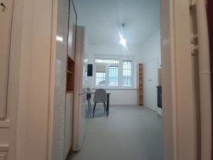 Pronájem bytu 1+1, Brno, Špitálka, 45 m2