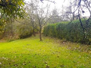 Prodej pozemku pro bydlení, Libina, 239 m2