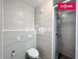 Pronájem bytu 2+1, Zlín, SNP, 43 m2