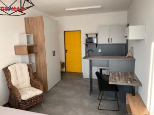 Pronájem bytu 1+kk, Havířov - Město, E. F. Buriana, 42 m2