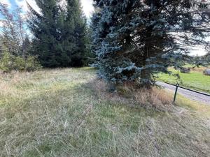 Prodej chaty, Blatno - Mezihoří, 198 m2