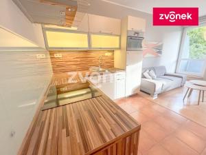 Pronájem bytu 2+kk, Zlín, Na Honech I, 60 m2