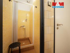 Prodej obchodního prostoru, Želízy, 640 m2