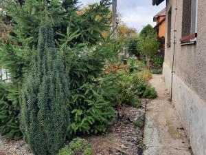 Prodej rodinného domu, Litovel, 400 m2