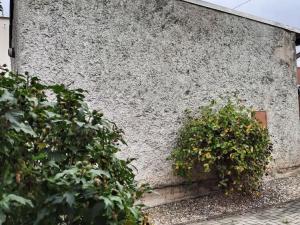 Prodej rodinného domu, Litovel, 400 m2