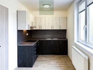 Pronájem bytu 2+kk, Staňkov, Americká, 40 m2