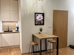 Pronájem bytu 3+kk, Praha - Čakovice, Bermanova, 78 m2