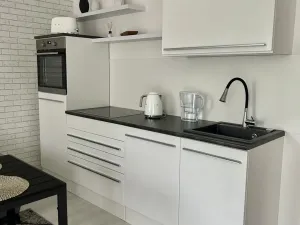 Pronájem bytu 1+kk, Praha - Libeň, Nad Kolčavkou, 42 m2