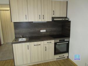 Pronájem bytu 1+kk, Stříbro, Plzeňská, 29 m2