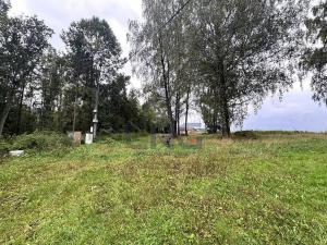 Prodej komerčního pozemku, Lučina, 2602 m2