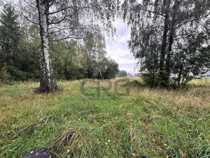 Prodej komerčního pozemku, Lučina, 2602 m2