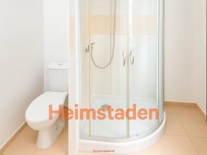 Pronájem bytu 1+kk, Karviná - Nové Město, Řecká, 28 m2