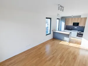 Prodej bytu 3+kk, Praha - Žižkov, Seifertova, 68 m2