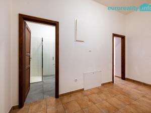 Pronájem bytu 3+kk, Luby, Revoluční, 58 m2