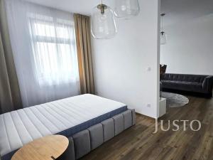 Pronájem bytu 1+1, Písek, Vladislavova, 38 m2