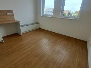 Pronájem bytu 1+kk, Přerov, Čechova, 27 m2