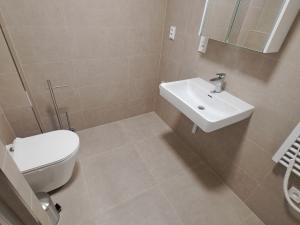 Pronájem bytu 1+kk, Přerov, Čechova, 27 m2