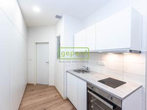 Pronájem bytu 1+kk, Praha, Za poštou, 45 m2