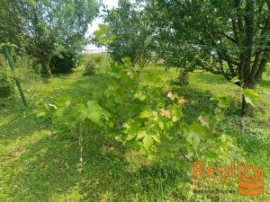 Prodej zahrady, Otrokovice, Smetanova, 782 m2