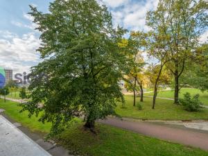 Prodej bytu 4+1, Ostrava - Hrabůvka, Dr. Martínka, 86 m2