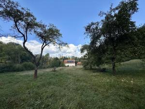 Prodej vícegeneračního domu, Okounov - Oslovice, 600 m2