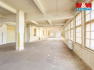 Pronájem výrobních prostor, Krásná Lípa, Bezručova, 5000 m2