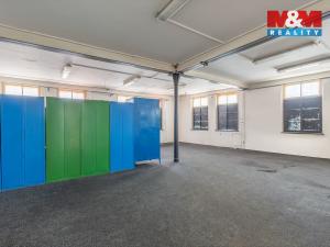 Pronájem výrobních prostor, Krásná Lípa, Bezručova, 5000 m2