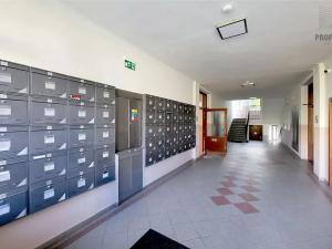 Prodej bytu 1+kk, Brno, Celní, 39 m2